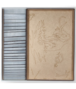 Box Insert for PALEO (Base game + First expansion)
