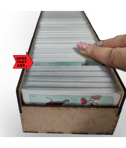 Box Insert for PALEO (Base game + First expansion)