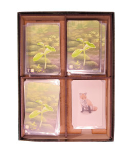 Box Insert for FOREST SHUFFLE